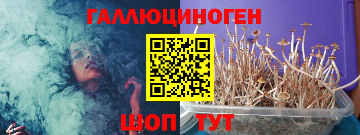 Галлюциногенные грибы мухоморы  Вход с VPN  Галлюциногенные грибы Cubensis  Александров 