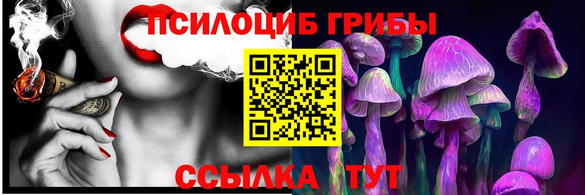 Псилоцибиновые грибы Psilocybe Александров
